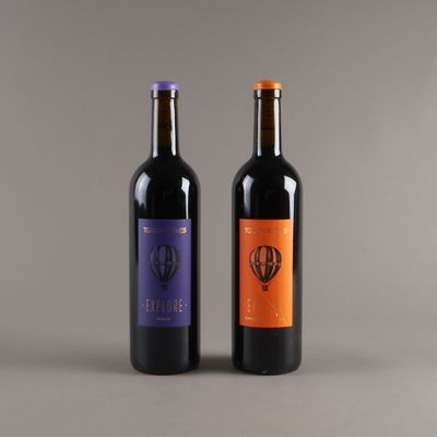 2 bouteilles TOUR DES TERMES "Explore" 2024 (1 Merlot, 1 Cab…