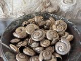 a bowl of snails sitting on a table in front of a wall