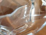 a glass of water with a horse in it