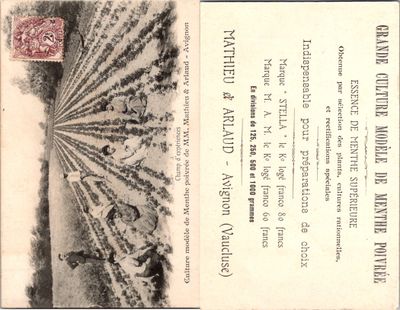 une vieille carte postale sur laquelle on aperçoit une ferme en arrière-plan