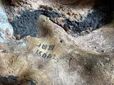 a close up of a piece of rock with writing on it