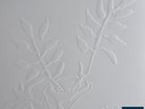 a close up of a white paper with a plant on it