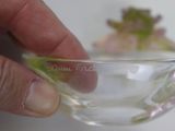a person holding a small glass bowl with a plant in it