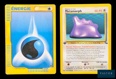 deux cartes Pokémon représentant un Pokémon bleu et violet
