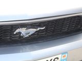 a close up of a car ' s grille with a horse on it
