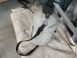 a bird that is sitting on a bag on the floor