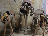 trois selles et un support à selle dans une pièce