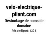 Photo 1/1 du lot