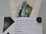 une carte sur laquelle figure l'image d'un oiseau bleu