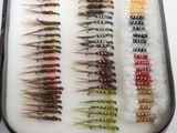 many different types of flies in this case