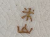 Photo 3/3 du lot