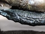 a close up of a bronze statue of a dog ' s face