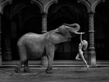 photographie en noir et blanc d'un éléphant debout devant une femme