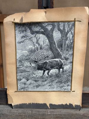 une photo d'un cerf debout dans les bois