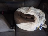 a car with a tire and a bag in the back of it