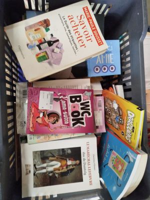 Lot de 10 LIVRES ET GUIDES - FLAMMARION SOTECA PETIT FUTE - …