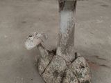 a mushroom sitting on top of a stone table