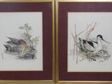 une paire d'aquarelles encadrées représentant des canards dans un étang