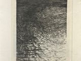 an image of a black and white photo of a tree in the water
