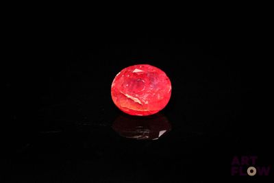 une image représentant une pomme rouge posée sur une surface noire