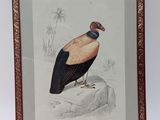 an old picture of a bird sitting on top of a rock