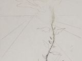 une image représentant un dessin d'une fleur dans un vase posé sur une table