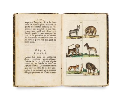 an open book with illustrations of animals and birds on it