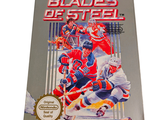 a book with a picture of a hockey game on it