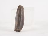 an image of a piece of stone on a white surface