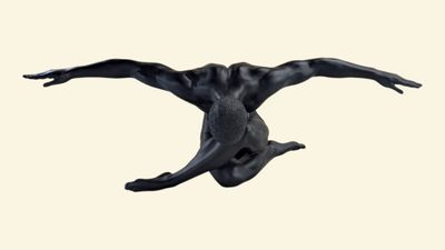a bird that is flying in the sky with it ' s wings spread out