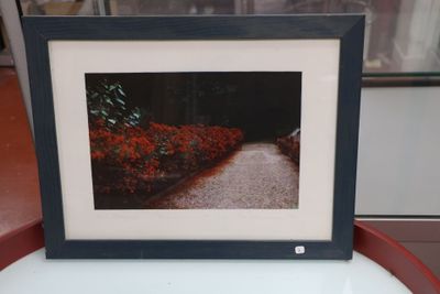 une photo d'un tableau représentant un jardin fleuri, dans un cadre