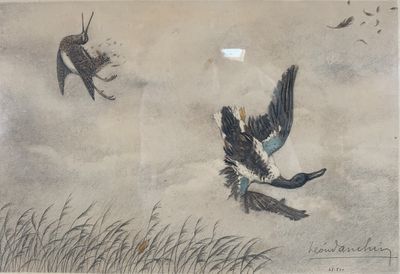 two birds that are flying in the sky together