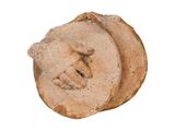 a small piece of pottery with a face on it