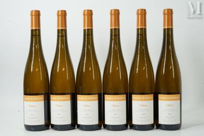 six bouteilles de vin sont alignées sur une surface blanche