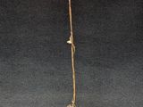 an antique brass floor lamp with a rose shaped glass shade