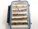 many different types of flies in this case