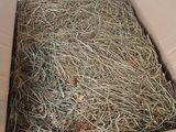 une caisse de foin posée sur une surface blanche