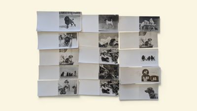 DIM, Henri DIMONT et divers Collection d'anciens faire-part …