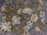 Photo 1/1 du lot