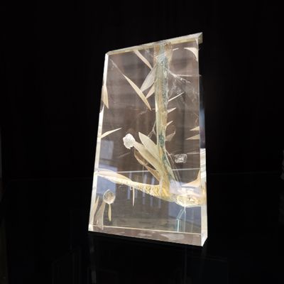 la photo d'une photo représentant un oiseau dans une vitrine