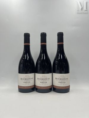 BOURGOGNE BOURGOGNE, "Pinot fin", Domaine ARNOUX-LACHAUX, 20…