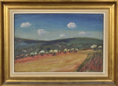 René SEYSSAUD (1867-1952) : Le champs d'oliviers. - Photo 1