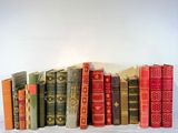 many old books lined up on a white shelf