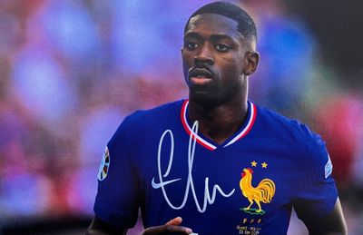 L'attaquant français Paul Pogba en action avec l'équipe de France