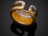 an image of a gold ring with a coin in it