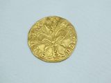 a close up of a gold coin on a white surface