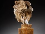 a sculpture of a woman ' s head on top of a wooden block