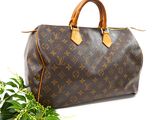 a louis vuitton handbag with a plant in the background