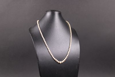 a white pearl necklace on a black mannequin