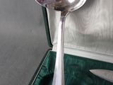 a silver spoon in a green case with a knife in it